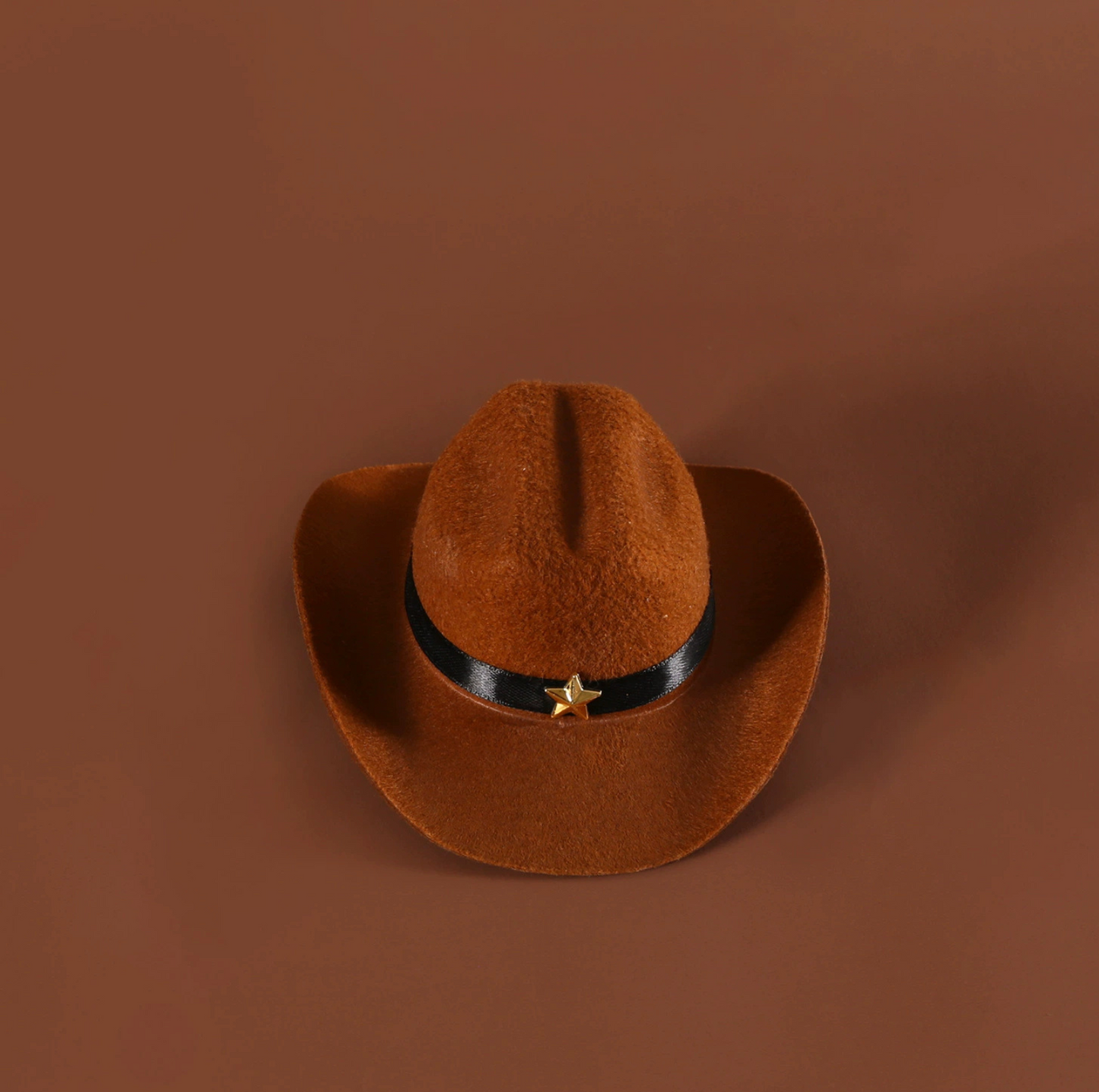 Western Cowboy Pet Hat & Bandana Set