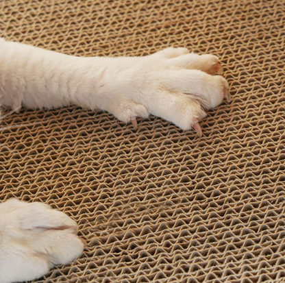 Ginger Cat Calendar-Style Scratcher Board with Wooden Frame