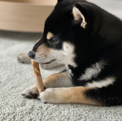 Natural Coffee Wood Dental Chew Stick for Dogs