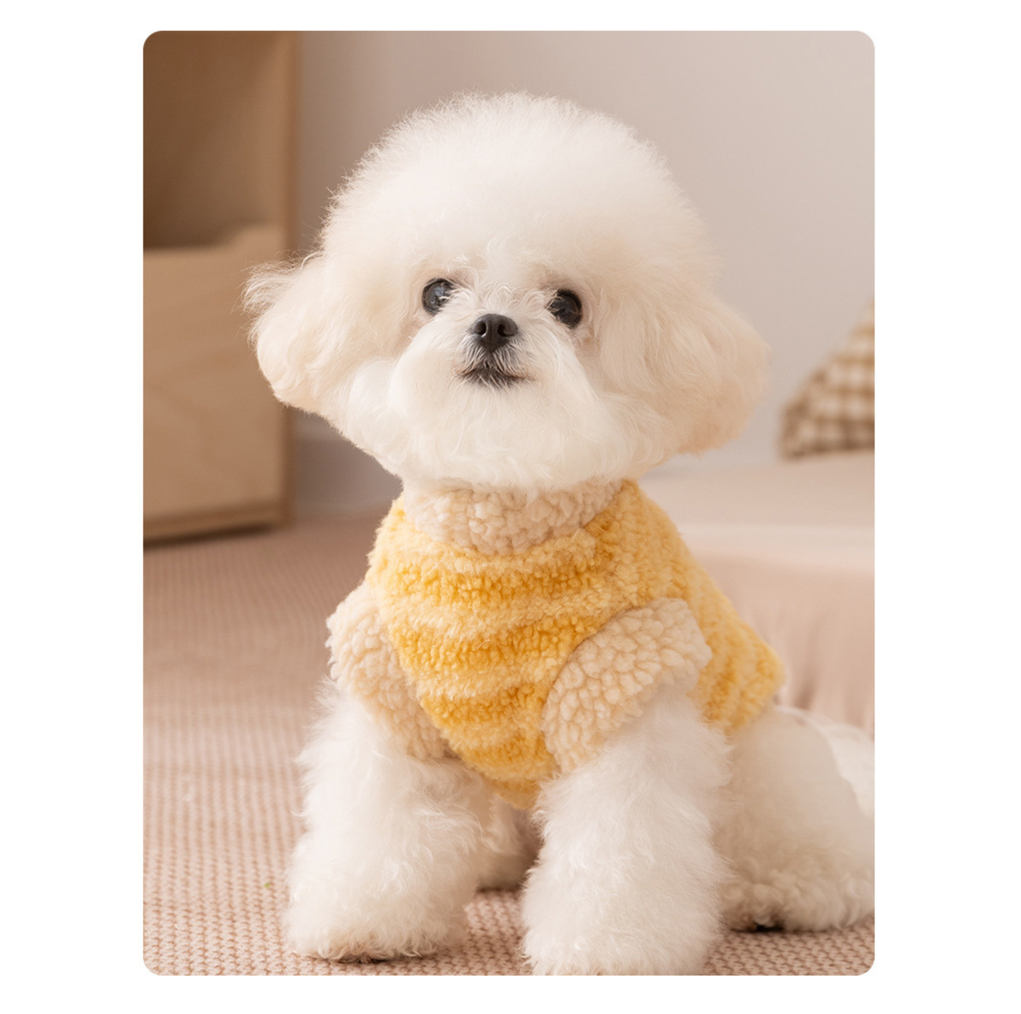 Teddy Fleece Pet Vest with D-Ring
