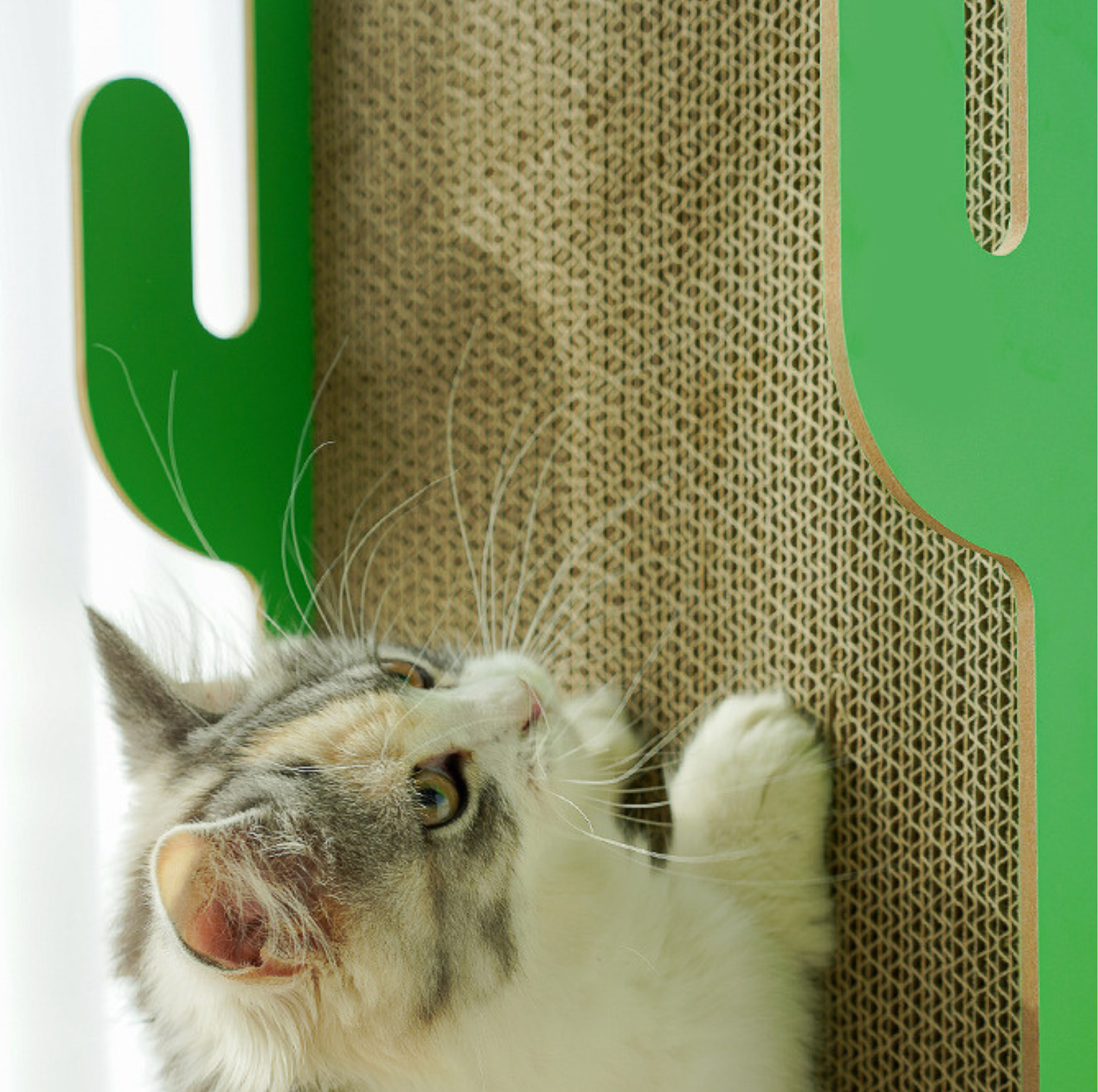 Cactus Multi-Surface Cat Scratching Board with Bell Ball
