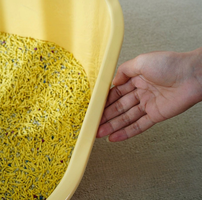 Compact Open Cat Litter Tray with High Sides & Low Entry