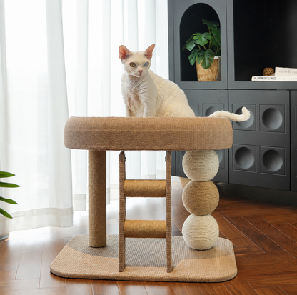 Small Ladder Cat Climber with Oval Resting Nest