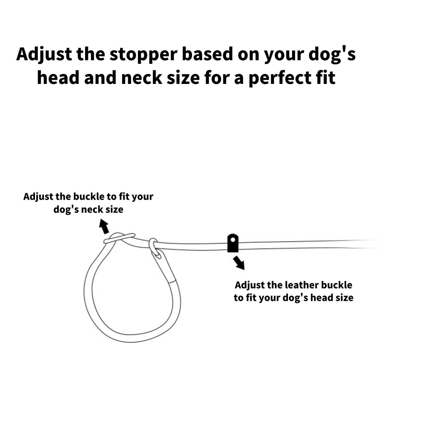 Anti-Pull Dog Leash with P-Chain - Escape-Proof, Durable Lead for Medium and Large Dogs