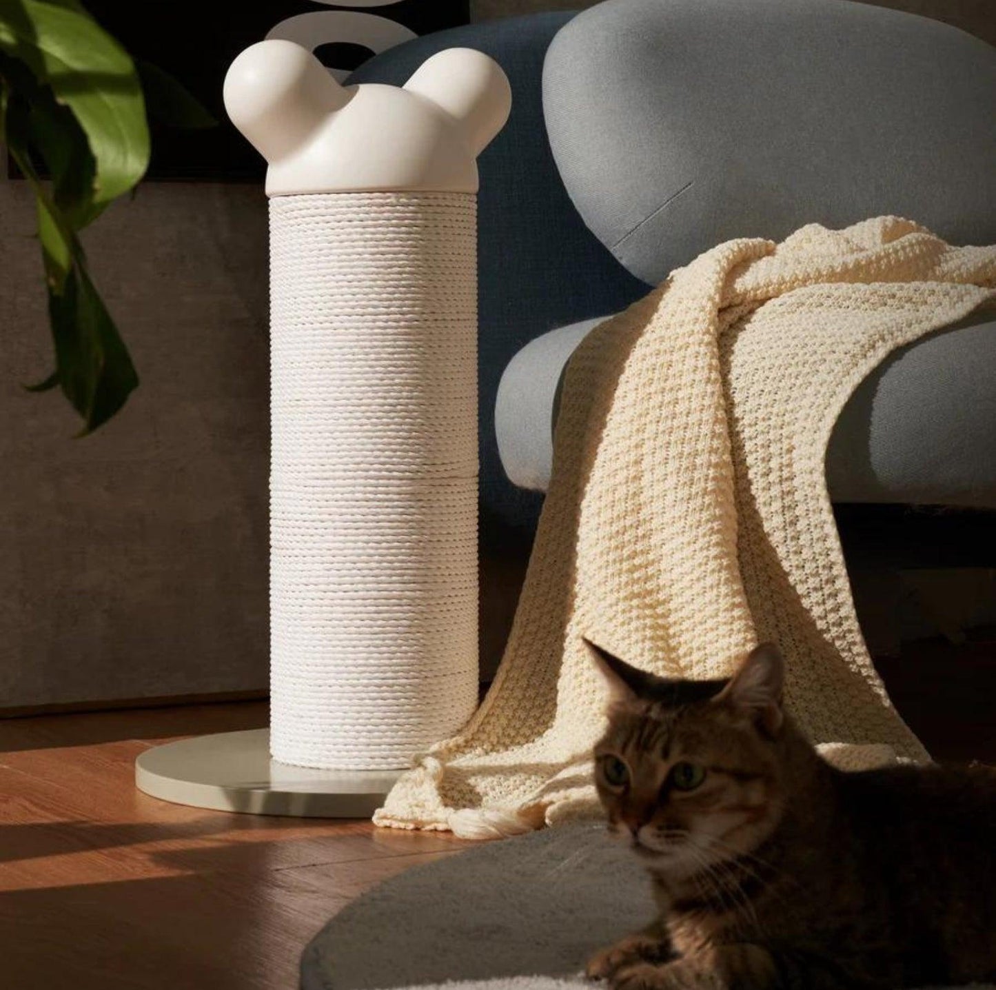 Makesure Cat Comfort & Play Bundle - Stylish Home Integration