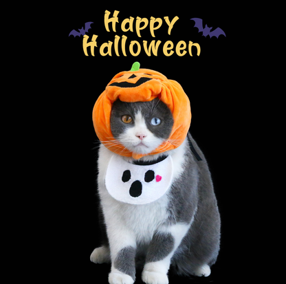 Halloween Pumpkin Hat & Ghost Bib Set for Cats and Dogs