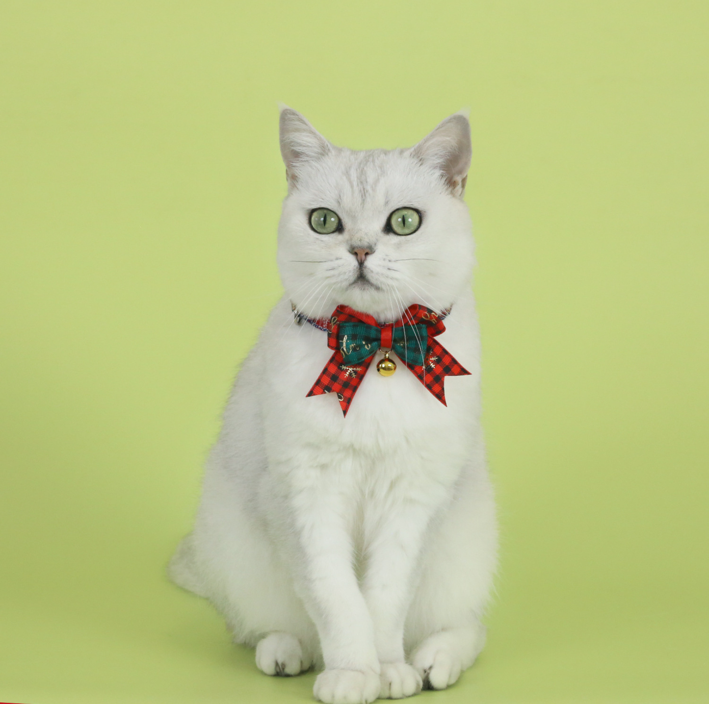 Christmas Bow Tie Pet Collar – Adjustable Festive Design