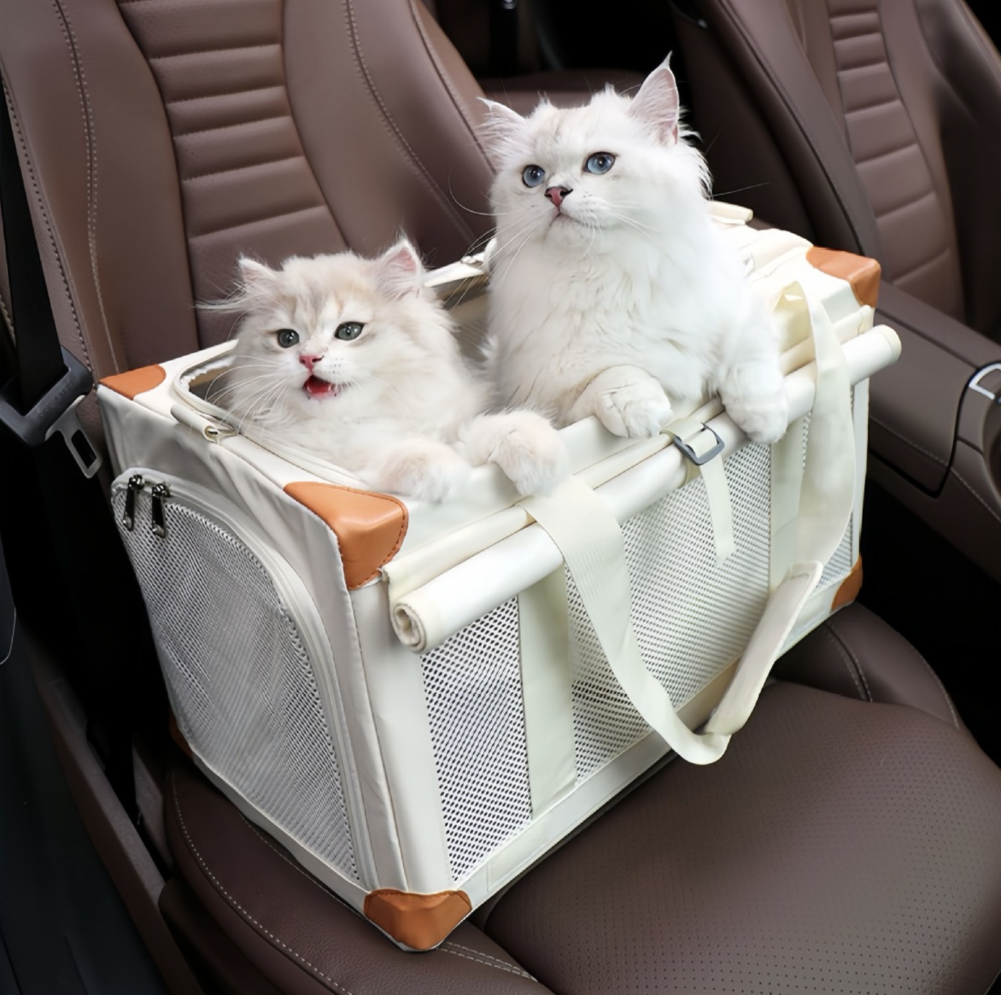 Oxford Boxy Pet Travel Tote Carrier for Cats & Small Dogs