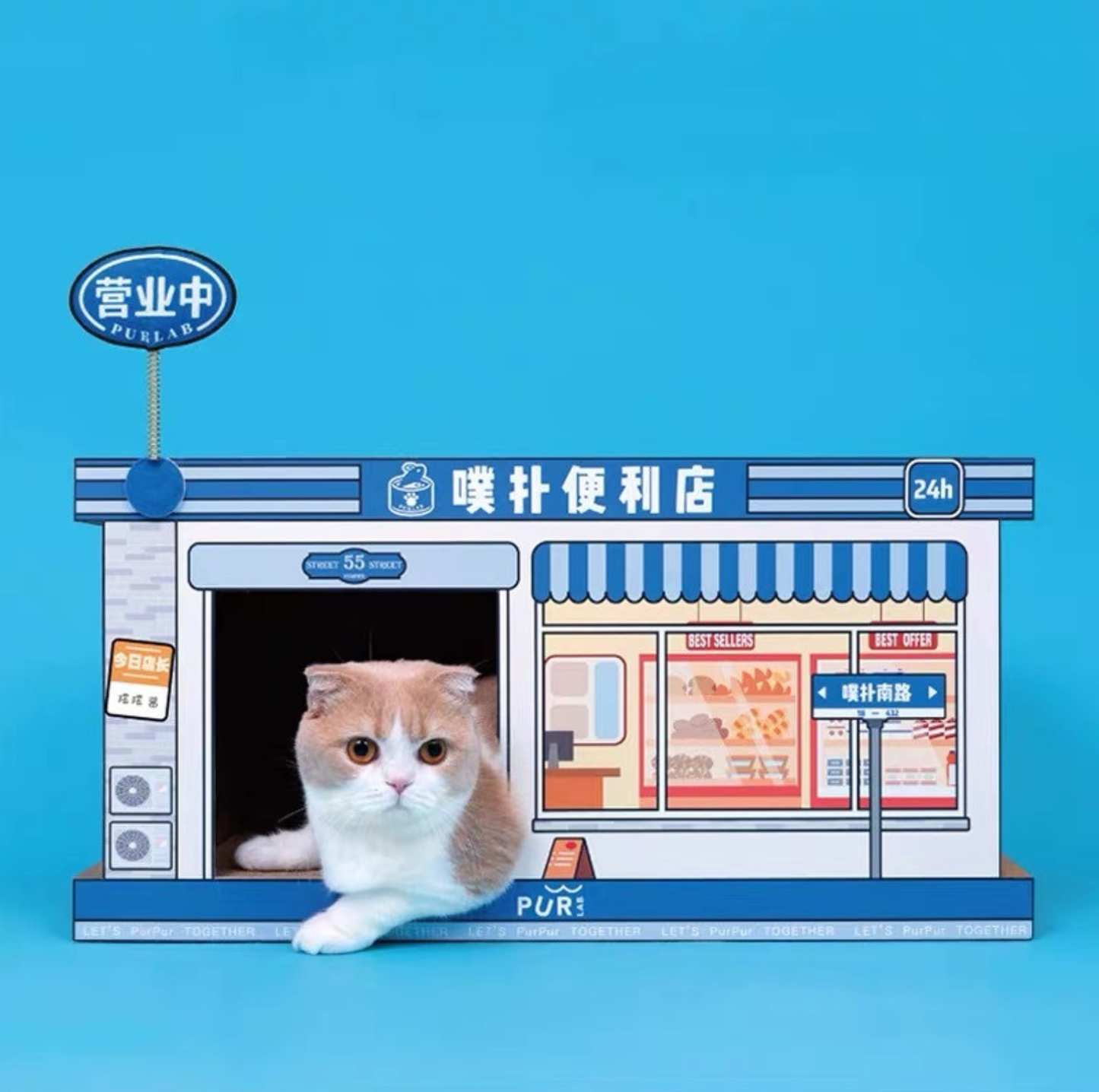 PurLab Convenience Store Cat Scratcher House