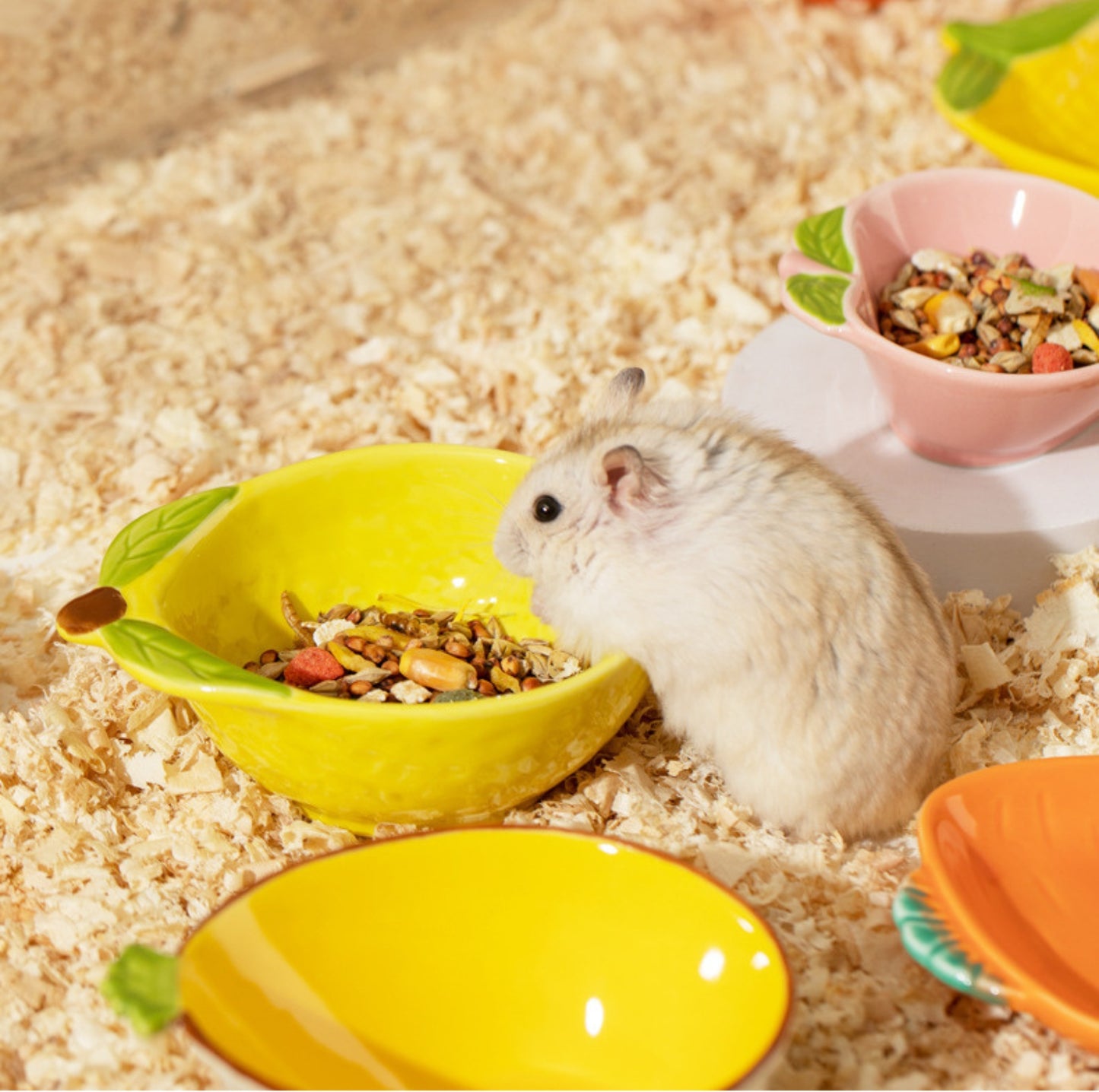 Fruit-shaped Small Animal Feeding Bowl