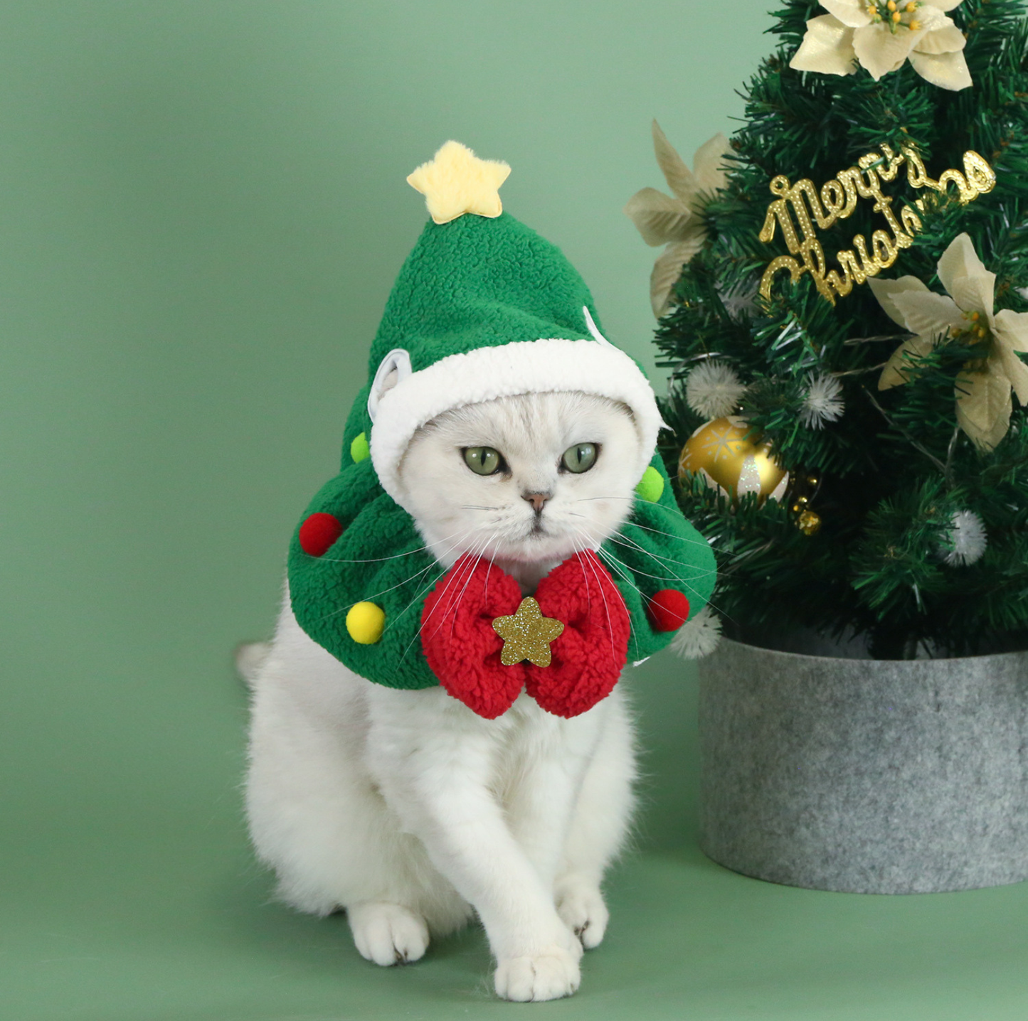 Christmas Pet Hat & Scarf Bundle – Festive Tie-On Set