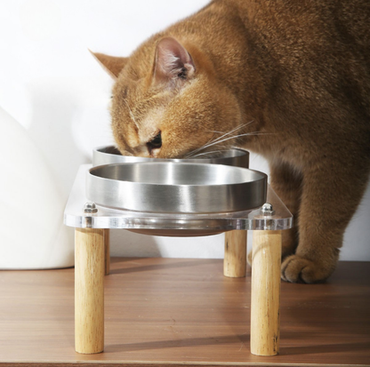 304 Stainless Steel Pet Food Bowl With Acrylic Stand