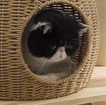 150cm Solid Oak Wood Cat Tree Tower with full Sisal Posts - 81004s