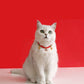 Adjustable Red Cord Pet Collar with Chinese Wishes Pendants