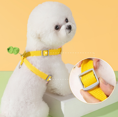 Vibrant Outdoor Pet Harness with Vest-Style Support