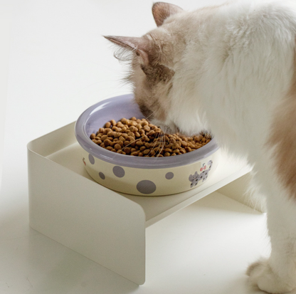 Patterned Ceramic Pet Feeding Bowl