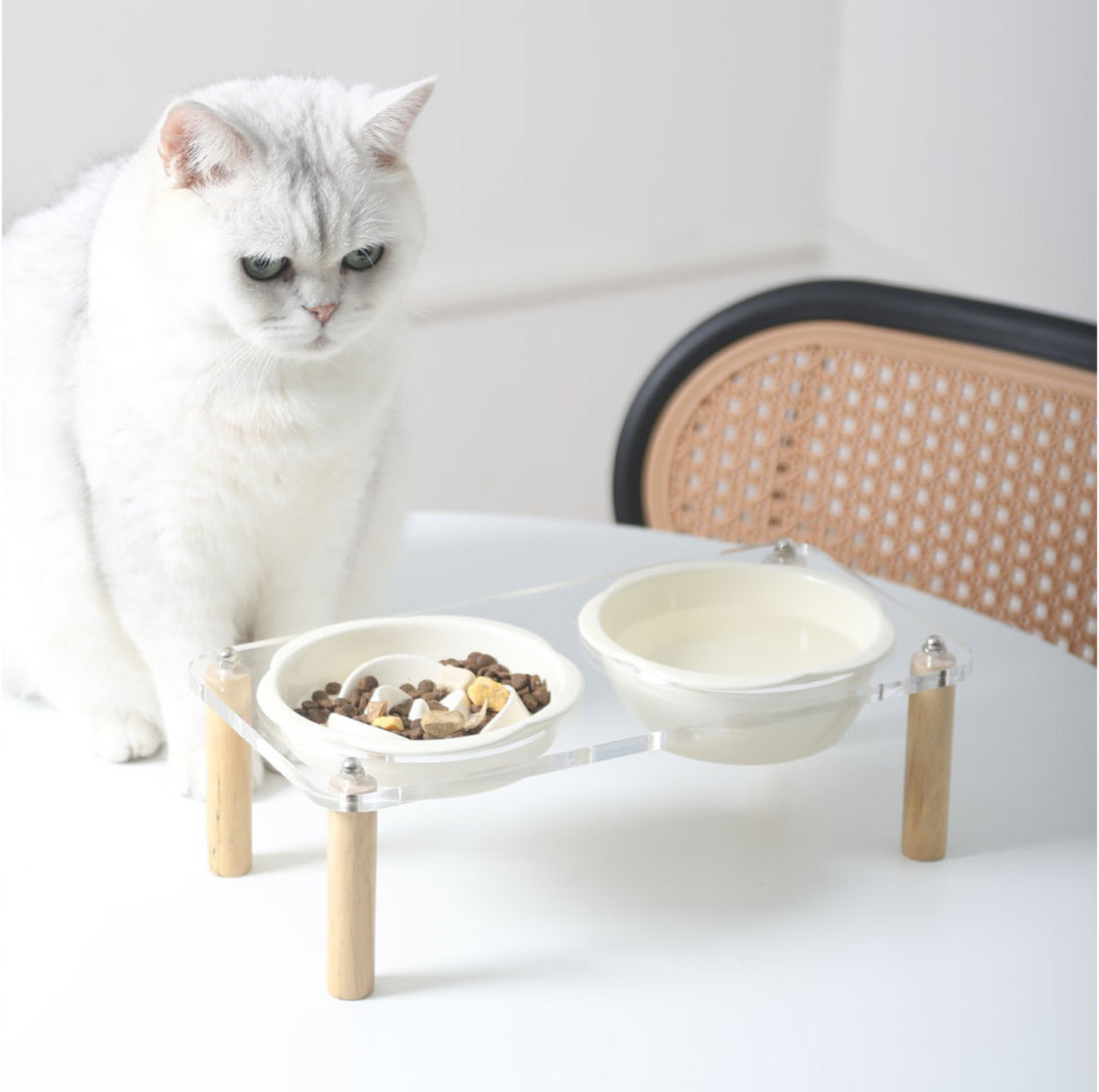 Ceramic Slow Feeder Bowl / Water Bowl with Optional Acrylic Stand