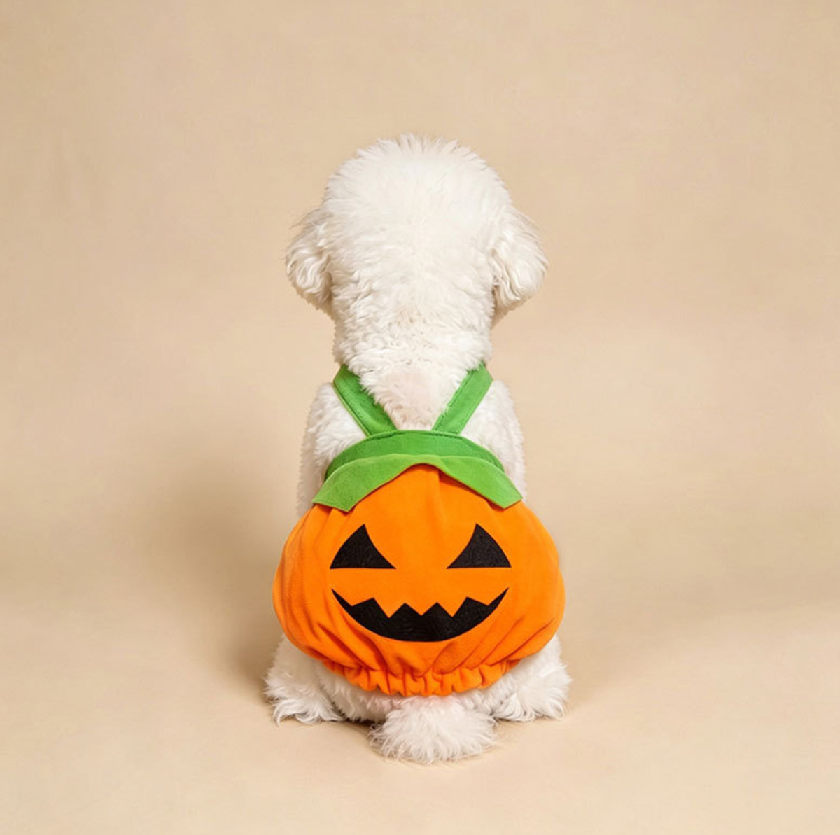 Halloween Pumpkin Pet Costume with Shoulder Straps
