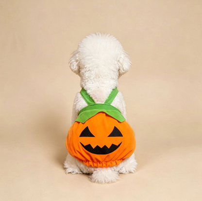 Halloween Pumpkin Pet Costume with Shoulder Straps