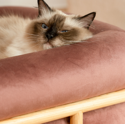 KAMA MUTA Bread Pet Bed - Italian-Inspired Design with Memory Foam and Ash Wood Frame