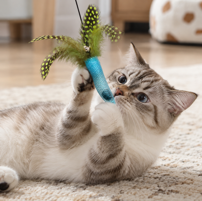Chilli Pepper Silvervine Cat Toy with Feather & Bell