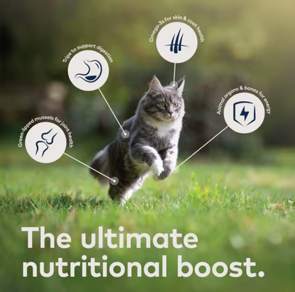 ZIWI Venison All Lifestage Wet Cat Food Cans 85g
