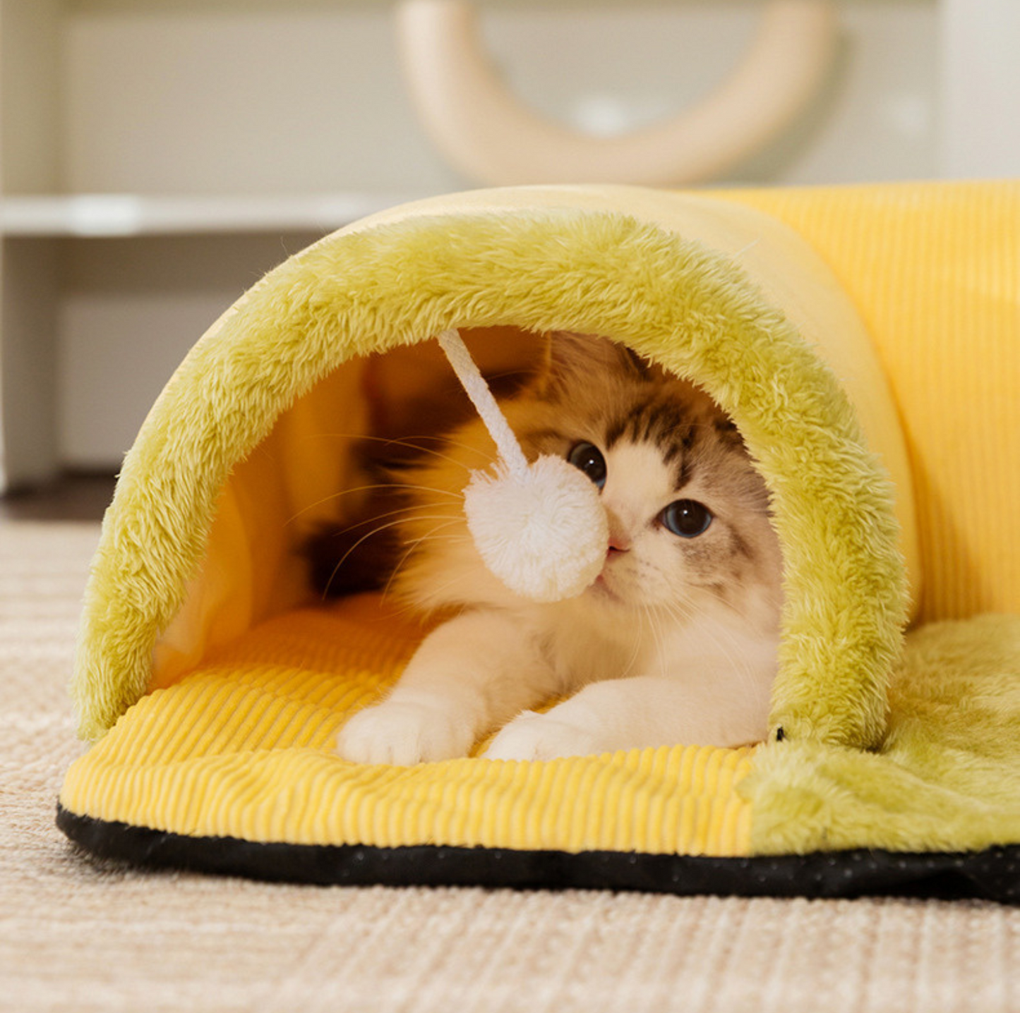 Cat Tunnel Bed – Play & Sleep in One