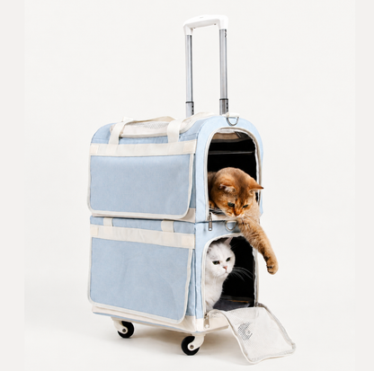 Double-Decker Detachable Pet Carrier Stroller