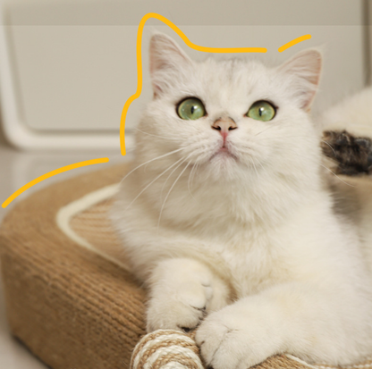 Bear Sisal Cat Scratching Bed