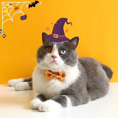 Halloween Bow Tie Cat & Dog Collar – Pumpkin Print with Bell (Adjustable Breakaway Design)