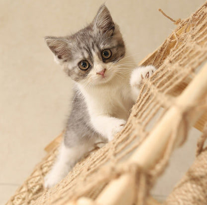 Multi-Functional Cat Playground with Wooden Ladder and Climbing Net