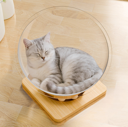 Clear Acrylic All-Season Cat Nest – Modern Floating Pod Bed with Wooden Base