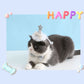 Glitter Birthday Accessory Set for Pets - Hat & Collar
