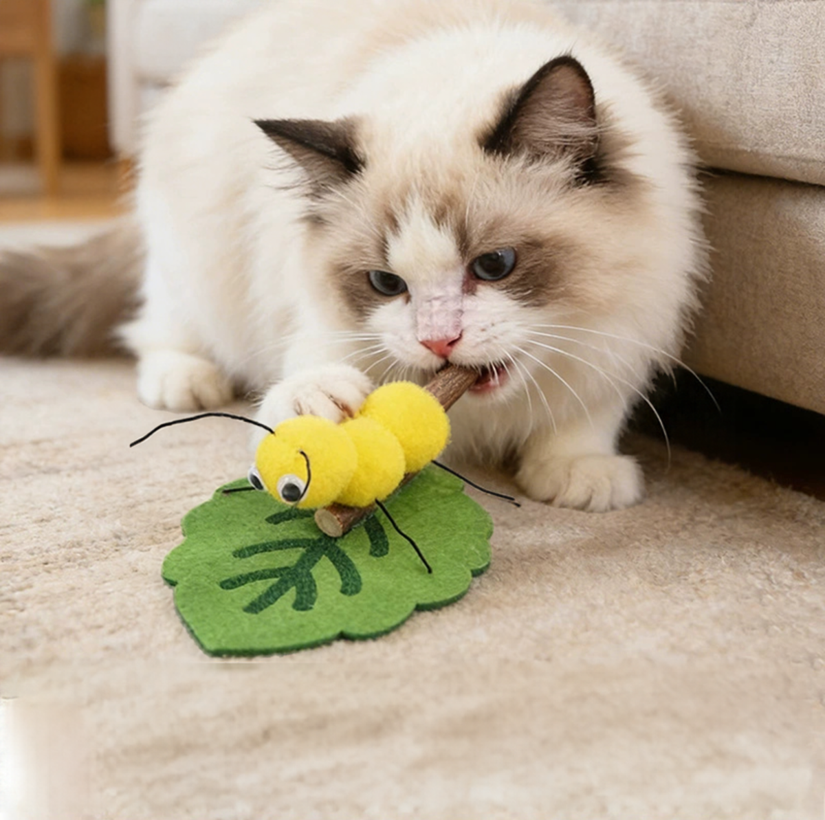 Cartoon Insect Silvervine Cat Chew Toy