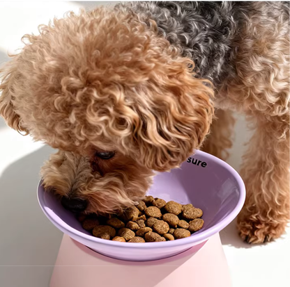 Makesure Tawa Elevated Ceramic Pet Bowl