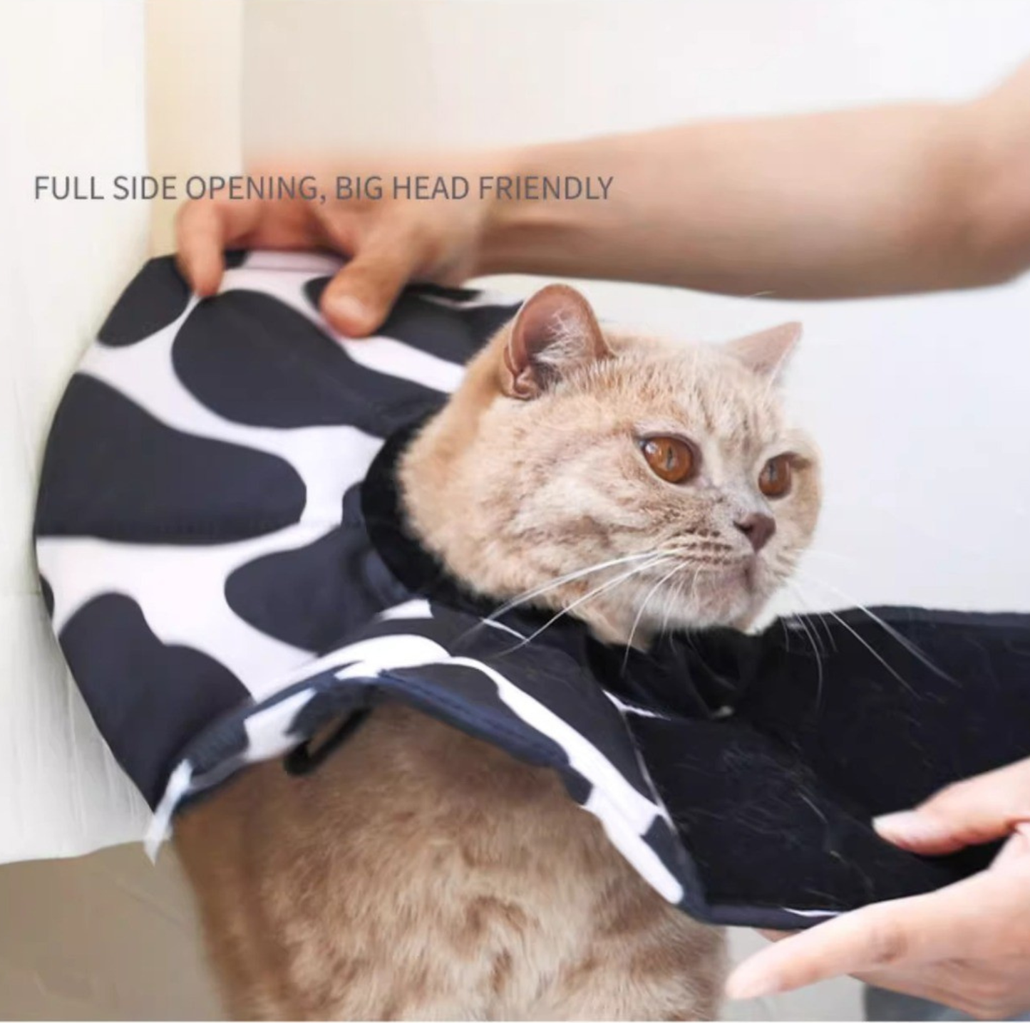 Soft Multi-Use E-Collar for Cats & Small Dogs