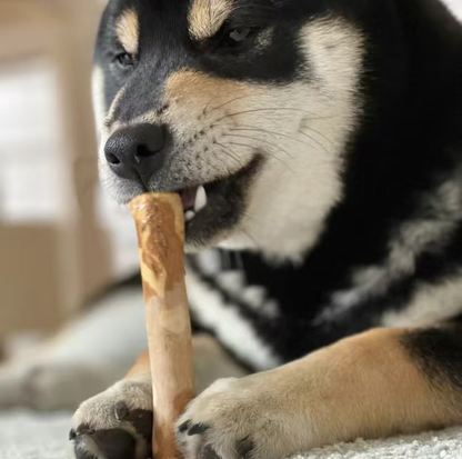 Natural Coffee Wood Dental Chew Stick for Dogs