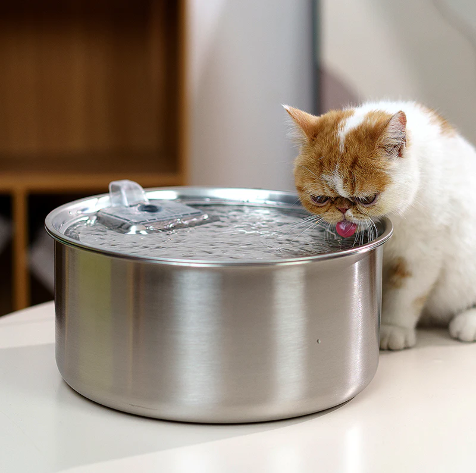 7L Stainless Steel Automatic Pet Water Fountain - {{product.type}} - PawPawUp
