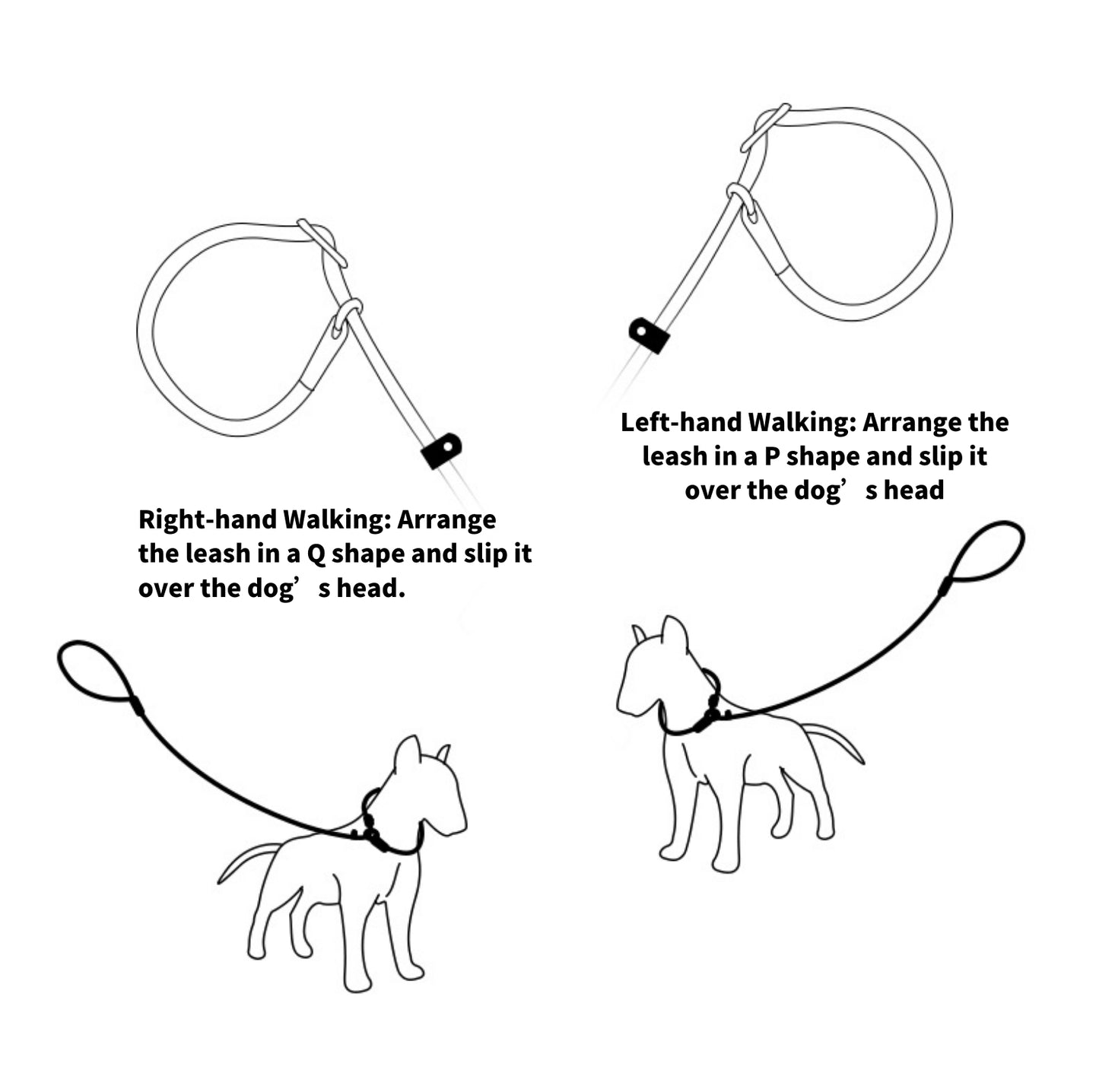 Anti-Pull Dog Leash with P-Chain - Escape-Proof, Durable Lead for Medium and Large Dogs