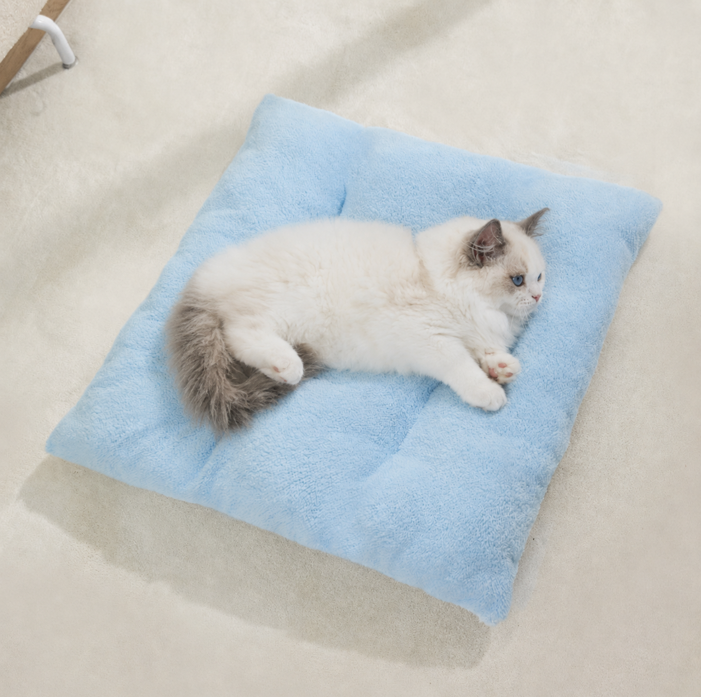 Door Curtain Tent Pet Bed with Double-Sided Mat