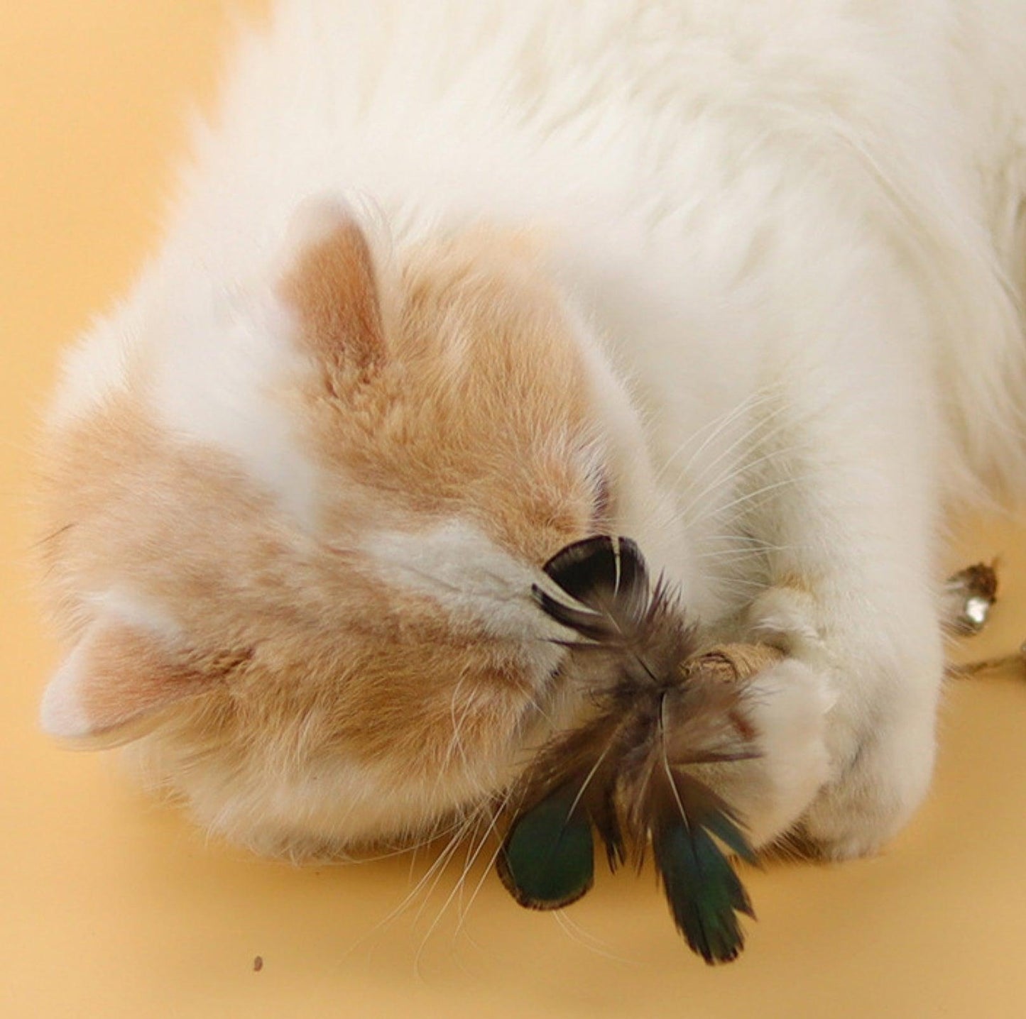 Feathered Catnip Stick Cat Toy - Exciting Playtime with Bell & Raffia Grass