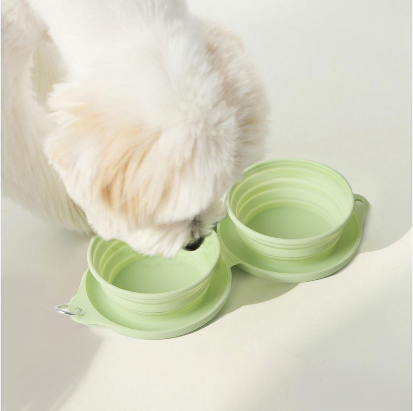 Silicone Foldable Double Pet Feeding Bowl - Portable & Travel-Friendly