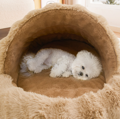 Plush Shell Enclosed Pet Bed with Removable Cushion