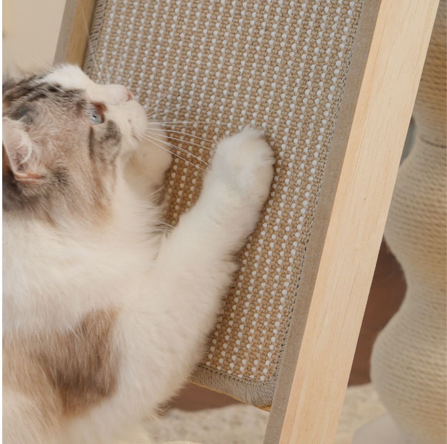 Sisal Ramp Cat Scratcher Tower with Lookout Platform