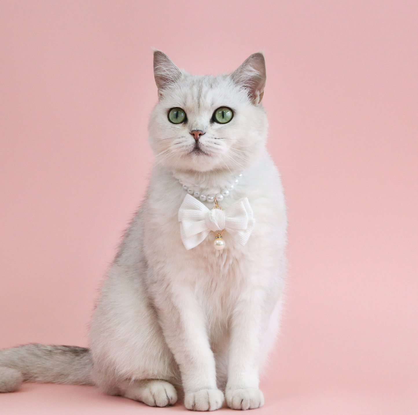 Pearl Bowknot Pet Necklace – For Cats & Small Dogs
