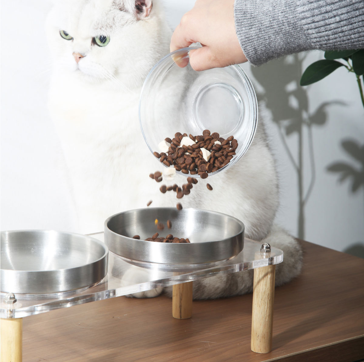 304 Stainless Steel Pet Food Bowl With Acrylic Stand