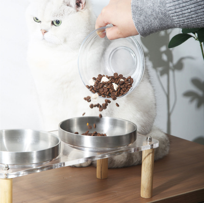 304 Stainless Steel Pet Food Bowl With Acrylic Stand