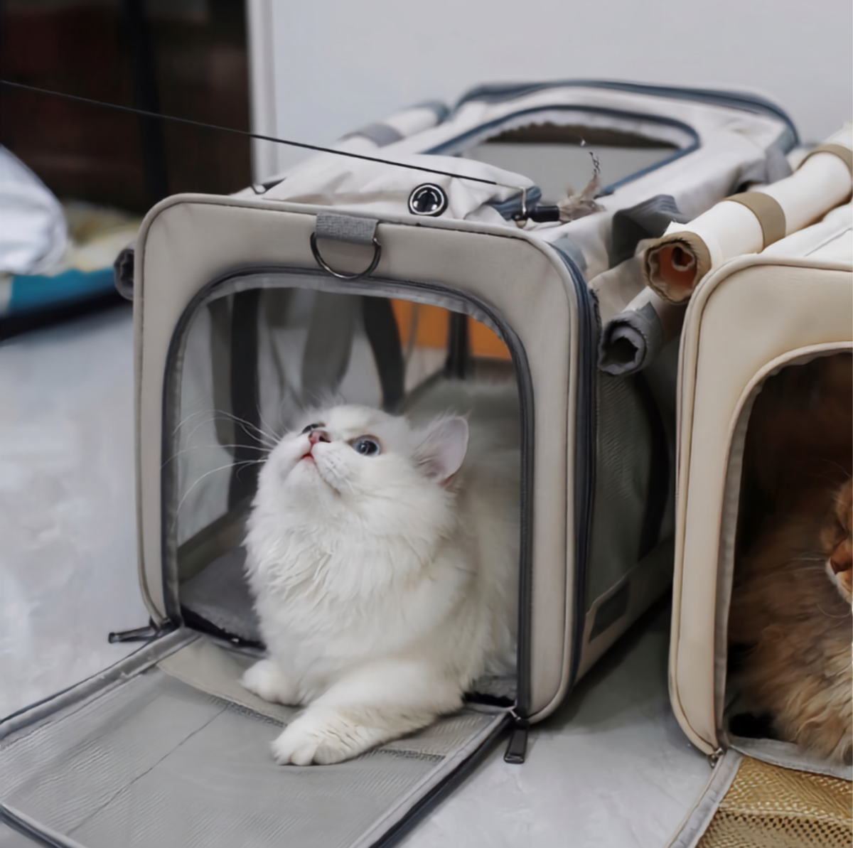 Large Foldable Mesh Pet Carrier with Roll-Up Covers - Up to 10kg