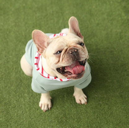 Chic Hooded Pet Jacket - Cozy Cotton Apparel