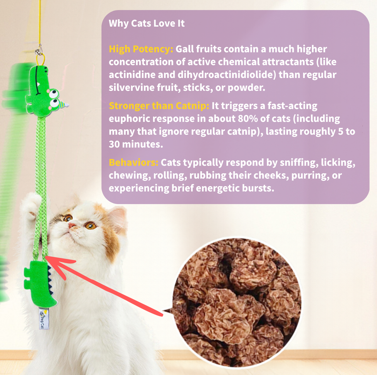 Crocodile & Giraffe Silvervine Hanging Cat Toy with Elastic Rope